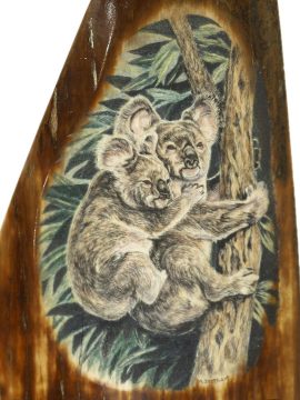 Matt Stothart Scrimshaw - Climbing Koala Duo