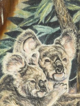 Matt Stothart Scrimshaw - Climbing Koala Duo