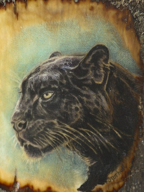 Matt Stothart Scrimshaw - Black Panther