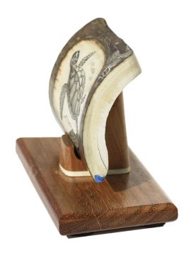 Ray Peters Scrimshaw - Sea Turtle and Tuna