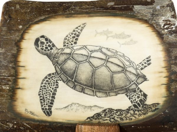 Ray Peters Scrimshaw - Sea Turtle and Tuna