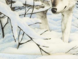 David Adams Scrimshaw - Wolf in Winter