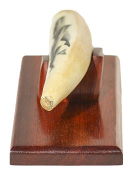 David Smith Scrimshaw - Sperm Whale Family