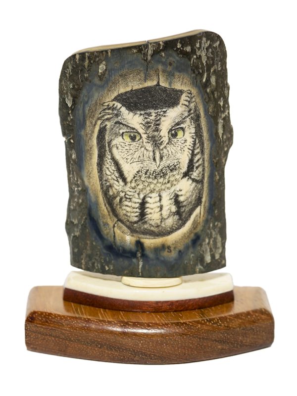 David Smith Scrimshaw - Screech Owl Portrait