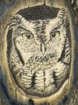 David Smith Scrimshaw - Screech Owl Portrait