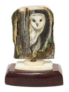 David Smith Scrimshaw - Barn Owl Portrait