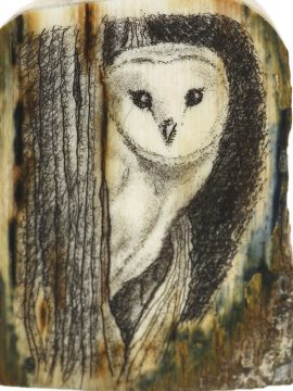 David Smith Scrimshaw - Barn Owl Portrait