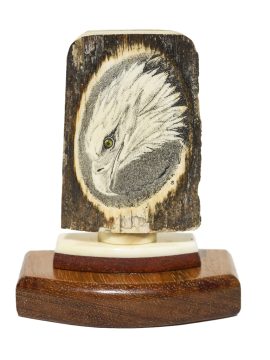 David Smith Scrimshaw - Bald Eagle Portrait