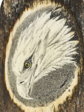 David Smith Scrimshaw - Bald Eagle Portrait