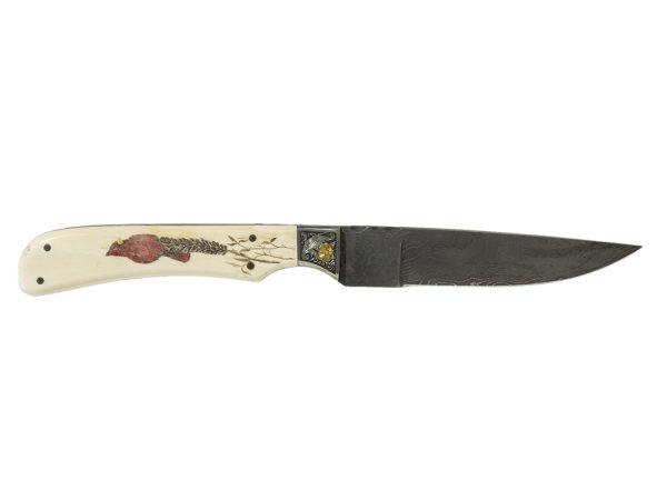 Roni Dietrich Scrimshaw -Cardinal Scrimshaw Custom Knife