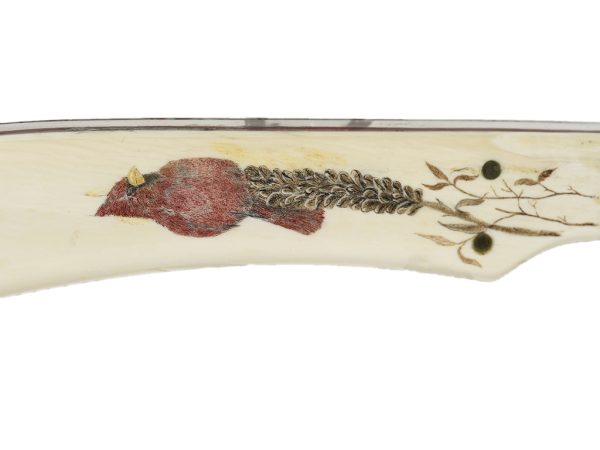 Roni Dietrich Scrimshaw -Cardinal Scrimshaw Custom Knife