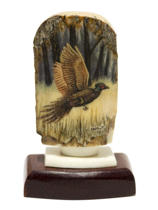 Matt Stothart Scrimshaw - Pheasant in the Wild