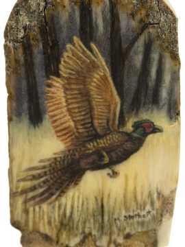 Matt Stothart Scrimshaw - Pheasant in the Wild