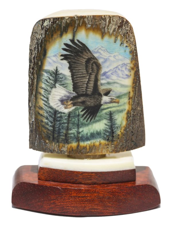 Matt Stothart Scrimshaw - Soaring Bald Eagle