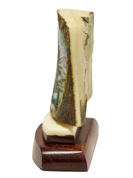 Matt Stothart Scrimshaw - Soaring Bald Eagle