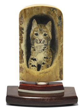 David Adams Scrimshaw - Bobcat Kitten