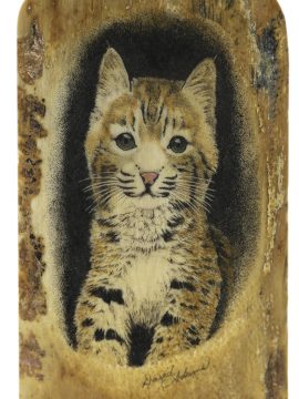 David Adams Scrimshaw - Bobcat Kitten