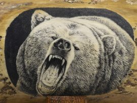 David Adams Scrimshaw - Roaring Grizzly Bear