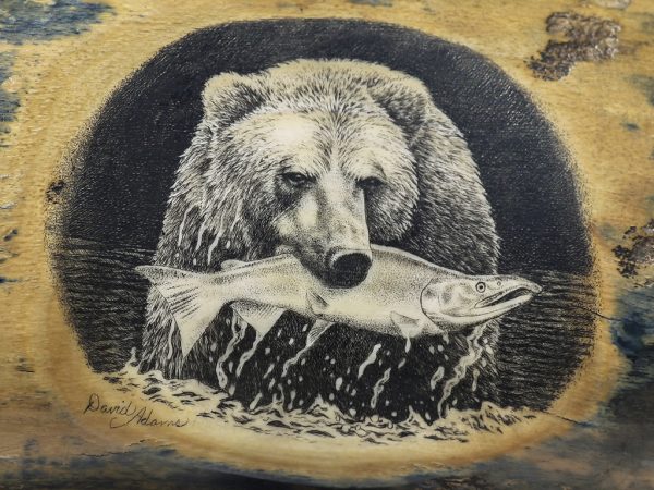 David Adams Scrimshaw - Grizzly Salmon Dinner