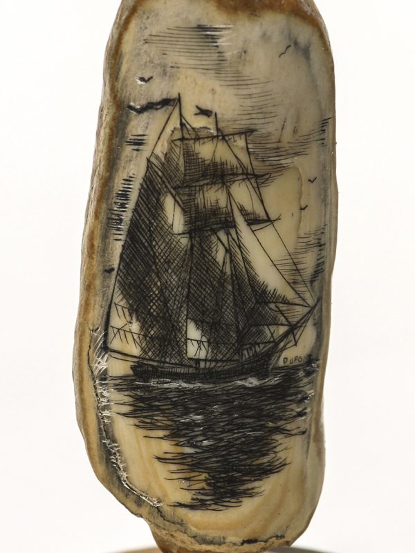 Gerry Dupont Scrimshaw -The Royal Fortune Brigantine