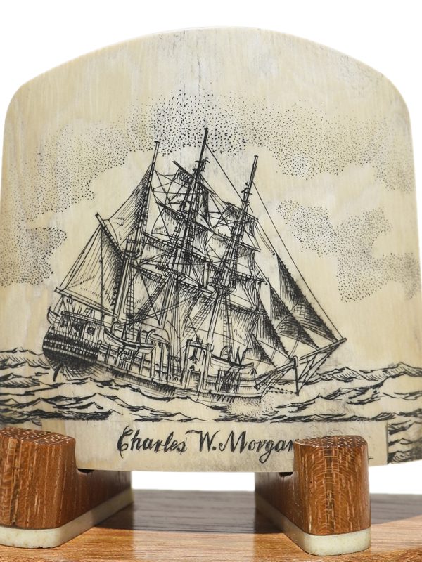 Ray Peters Scrimshaw - Charles W. Morgan Working