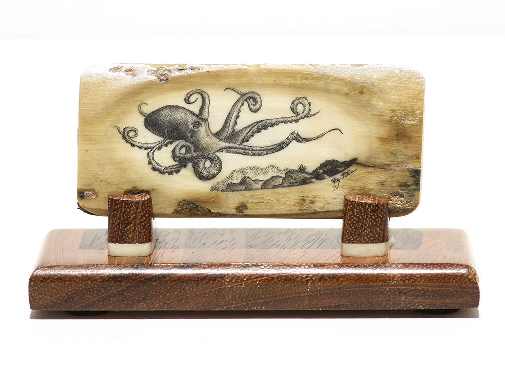 Ray Peters Scrimshaw - Amazing Octopus