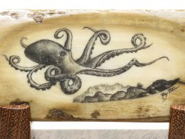 Ray Peters Scrimshaw - Amazing Octopus