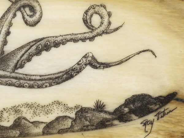 Ray Peters Scrimshaw - Amazing Octopus