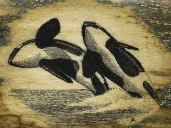 David Smith Scrimshaw - Orca Ballet