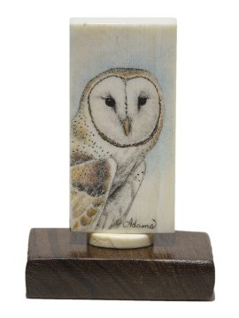 David Adams Scrimshaw - Barn Owl on Antique Domino