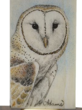 David Adams Scrimshaw - Barn Owl on Antique Domino