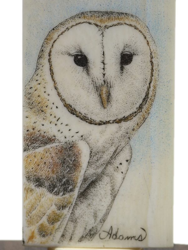 David Adams Scrimshaw - Barn Owl on Antique Domino