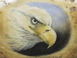 David Adams Scrimshaw - Amazing Bald Eagle