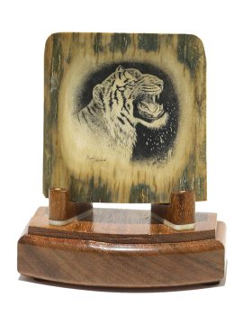 David Adams Scrimshaw - Wet Bengal Tiger