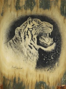 David Adams Scrimshaw - Wet Bengal Tiger
