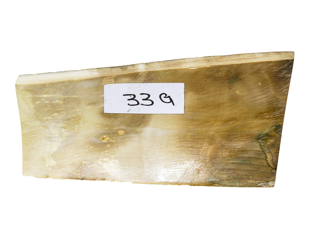 Ancient Mammoth Tusk Raw Ivory - Scrimshaw Collector