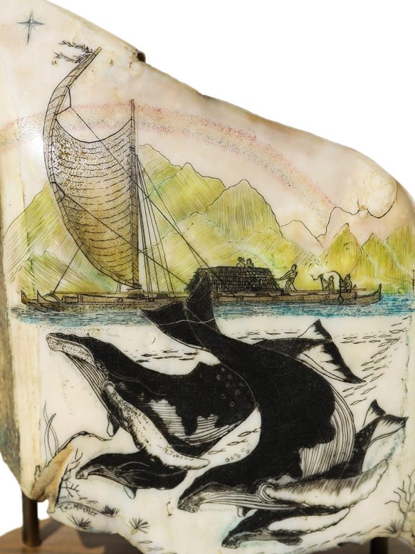 T.C. Moeller Scrimshaw - Humpback Pod and Explorers