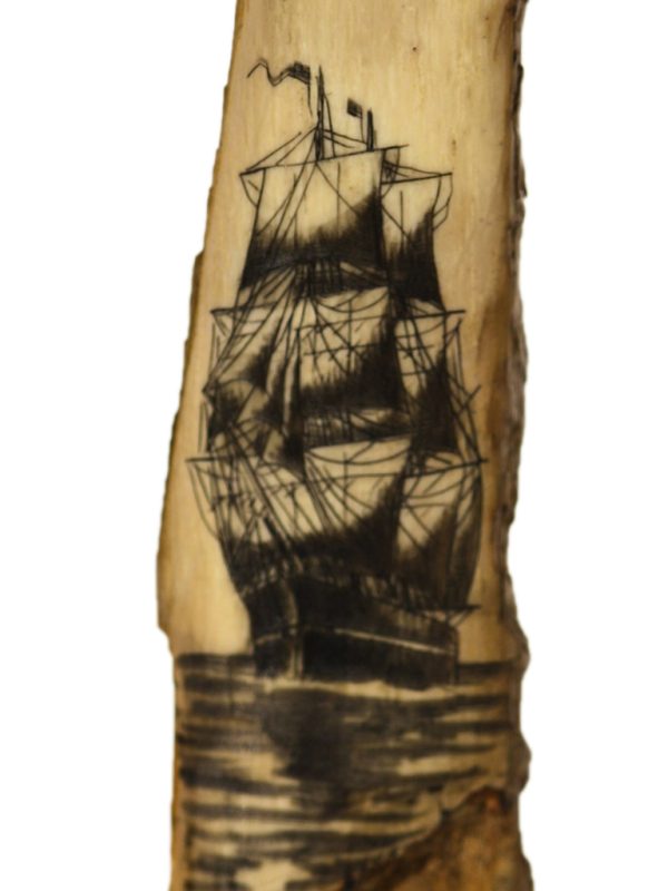 Frank Barcelos Scrimshaw - Racing Clipper