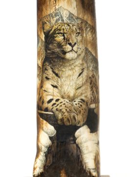 Orana Tahl Scrimshaw - Snow Leopard