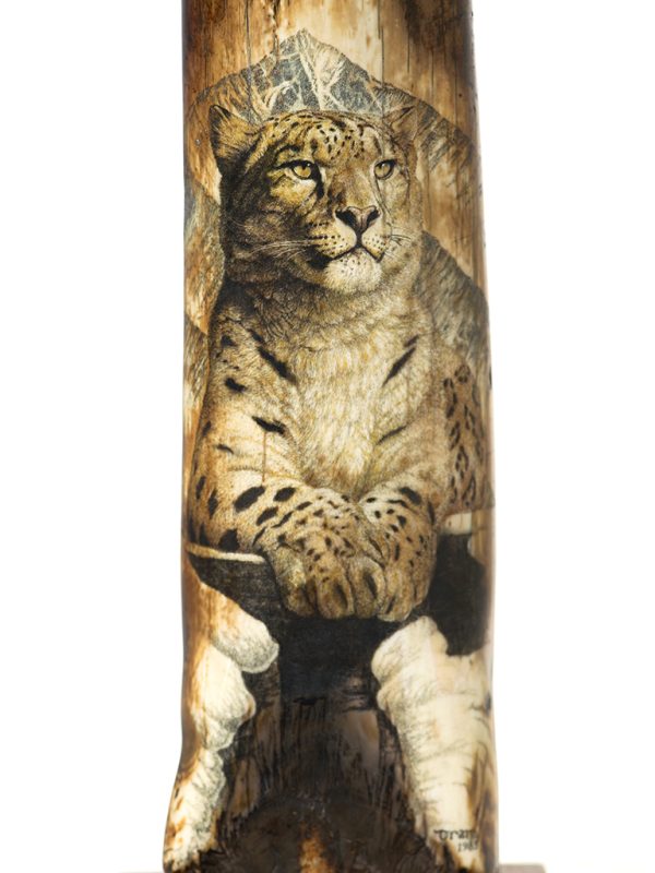 Orana Tahl Scrimshaw - Snow Leopard