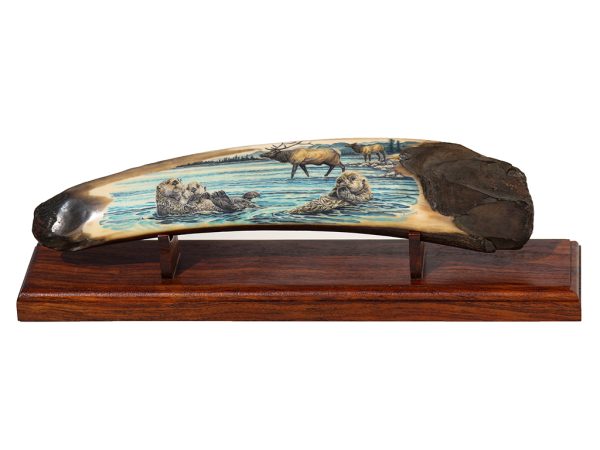 Matt Stothart Scrimshaw - Sea Otters and Elk