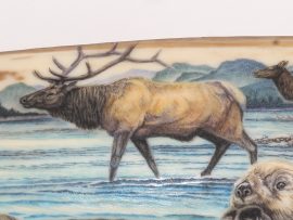 Matt Stothart Scrimshaw - Sea Otters and Elk