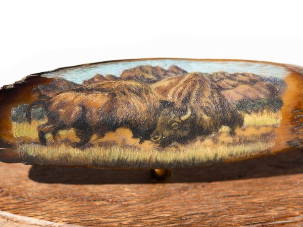 Matt Stothart Scrimshaw - Battling Bison