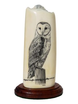 David Smith Scrimshaw - Barn Owl Watching