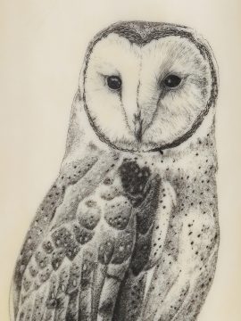 David Smith Scrimshaw - Barn Owl Watching