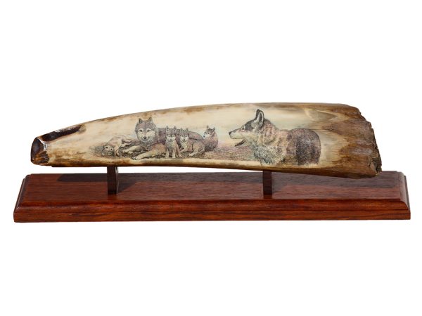 David Adams Scrimshaw - Proud Wolf Family