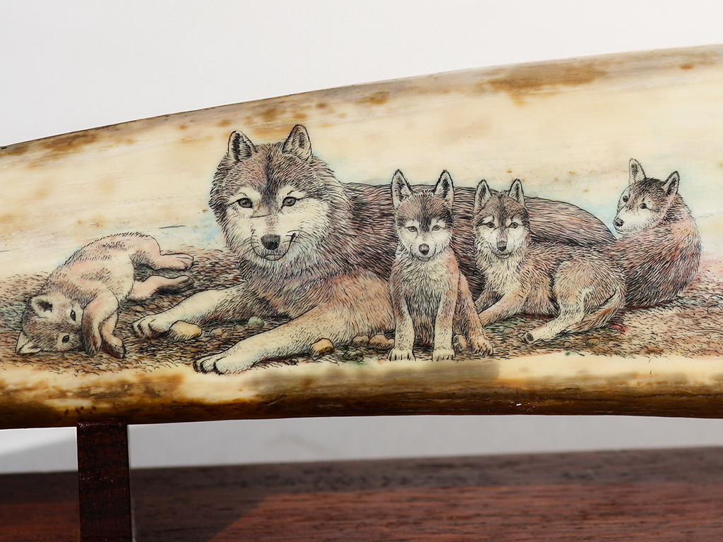 David Adams Scrimshaw - Proud Wolf Family - Scrimshaw Collector