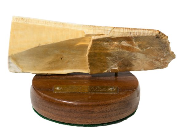 John Majak Scrimshaw - Stalking Gray Wolf