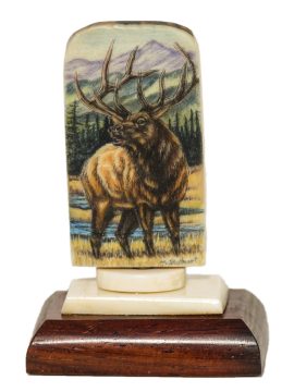 Matt Stothart Scrimshaw - Bellowing Elk