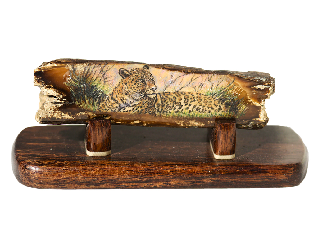 Matt Stothart Scrimshaw - Leopard at Rest